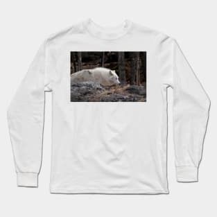 Arctic Wolf Long Sleeve T-Shirt